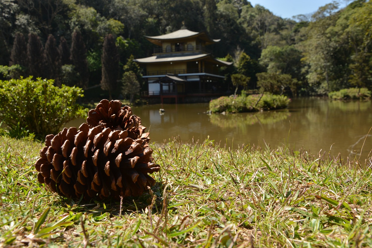 建华寺龙安水库搬迁最新动态深度解析